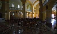 zocca_02.jpg